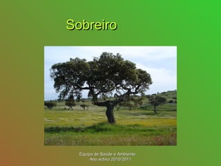 SobreiroSobreiro
Equipa de Saúde e AmbienteEquipa de Saúde e Ambiente
Ano ectivo 2010/2011Ano ectivo 2010/2011
 