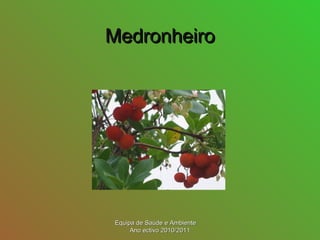 MedronheiroMedronheiro
Equipa de Saúde e AmbienteEquipa de Saúde e Ambiente
Ano ectivo 2010/2011Ano ectivo 2010/2011
 