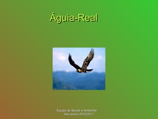 Águia-RealÁguia-Real
Equipa de Saúde e AmbienteEquipa de Saúde e Ambiente
Ano ectivo 2010/2011Ano ectivo 2010/2011
 