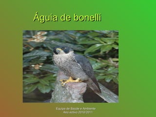 Águia de bonelliÁguia de bonelli
Equipa de Saúde e AmbienteEquipa de Saúde e Ambiente
Ano ectivo 2010/2011Ano ectivo 2010/2011
 