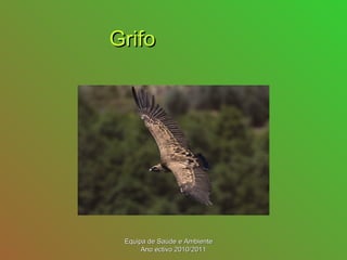 GrifoGrifo
Equipa de Saúde e AmbienteEquipa de Saúde e Ambiente
Ano ectivo 2010/2011Ano ectivo 2010/2011
 