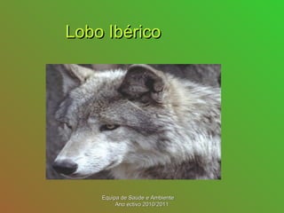 Lobo IbéricoLobo Ibérico
Equipa de Saúde e AmbienteEquipa de Saúde e Ambiente
Ano ectivo 2010/2011Ano ectivo 2010/2011
 