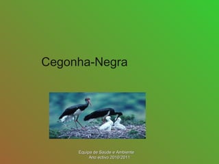 Cegonha-Negra
Equipa de Saúde e AmbienteEquipa de Saúde e Ambiente
Ano ectivo 2010/2011Ano ectivo 2010/2011
 
