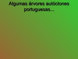 Algumas árvores autóctonesAlgumas árvores autóctones
portuguesas...portuguesas...
 
