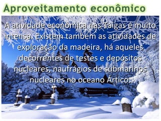 A atividade econômica nas Taigas é muito
intensa. Existem também as atividades de
    exploração da madeira, há aqueles
    decorrentes de testes e depósitos
   nucleares, naufrágios de submarinos
        nucleares no oceano Ártico.
 