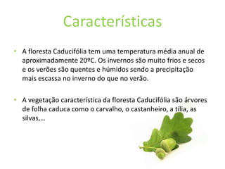 Floresta caducifólia | PPTX