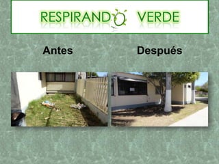 Antes Después
 