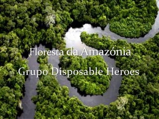 Grupo DisposableHeroes. Floresta da Amazónia 