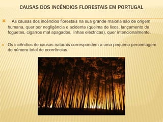 CAUSAS DOS INCÊNDIOS FLORESTAIS EM PORTUGAL

     As causas dos incêndios florestais na sua grande maioria são de origem
    humana, quer por negligência e acidente (queima de lixos, lançamento de
    foguetes, cigarros mal apagados, linhas eléctricas), quer intencionalmente.

   Os incêndios de causas naturais correspondem a uma pequena percentagem
    do número total de ocorrências.
 