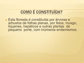 COMO É CONSTITUÍDA?
 Esta floresta é constituída por árvores e
arbustos de folhas planas, por fetos, musgo,
líquenes, hepáticos e outras plantas de
pequeno porte, com inúmeros endemismos.
 