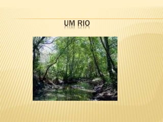 UM RIO
 