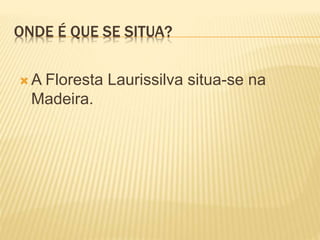 ONDE É QUE SE SITUA?
 A Floresta Laurissilva situa-se na
Madeira.
 