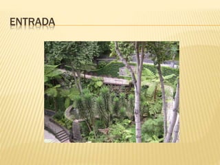ENTRADA
 