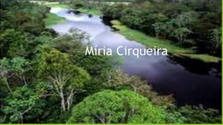 Míria Cirqueira
 