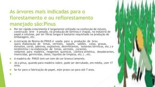 As árvores mais indicadas para o
florestamento e ou reflorestamento
manejado são:Pinus
 Por ter rápido crescimento é largamente utilizado na confecção de móveis,
construção leve e pesada, na produção de lâminas e chapas, na indústria de
papel e celulose, por ter fibras longas é bastante requisitado na produção de
embalagens, etc.
 A extração de Resina do PINUS é usada para a produção de breu
(para elaboração de tintas, vernizes, laquês, sabões, colas, graxas,
esmaltes, ceras, adesivos, explosivos, desinfetantes, isolantes térmicos, etc.) e
terebintina ( na elaboração de tintas, vernizes, corantes,
vedantes para madeira, reagentes químicos, cânfora sintética, desodorantes,
inseticidas, germicidas, óleos, líquidos de limpeza, etc.) , etc.
 A madeira do PINUS tem um tom de cor branco/amarelo.
 Já o pinus, quando para madeira nobre, pode ser derrubado, em média, com 17
anos.
 Se for para a fabricação de papel, este prazo cai para até 7 anos.

 