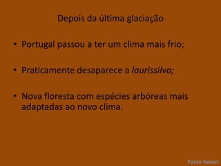 Depois da última glaciaçãoPortugal passou a ter um clima mais frio;Praticamente desaparece a laurissilva;Nova floresta com espécies arbóreas mais adaptadas ao novo clima.Paulo Seixas