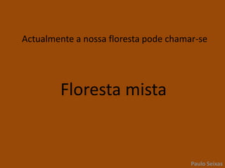 Como será então a floresta actual?Paulo Seixas