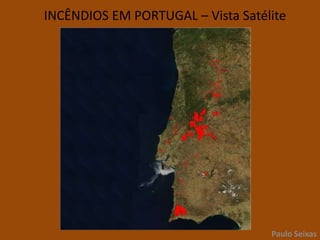 CAUSAS DO DECLÍNIO DA FLORESTAIncêndiosPaulo Seixas