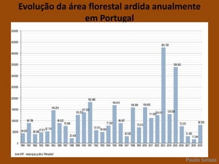 INCÊNDIOS EM PORTUGAL – Vista SatélitePaulo Seixas