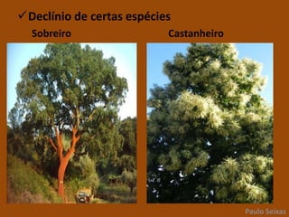 Para construção de infra-estruturas;