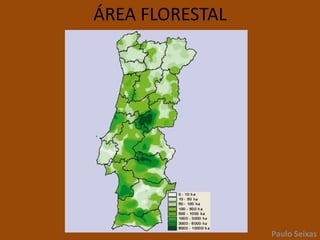 ÁREA FLORESTALPaulo Seixas