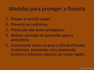 Introdução de eucaliptos e pinheiros-bravosPaulo Seixas