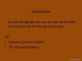 LAURISSILVA	É assim designada por ser um tipo de floresta com árvores da família das Lauráceas.EX: Loureiro (Laurus nobilis)Til  (Ocotea foetens)Paulo Seixas
