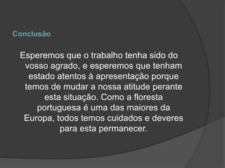 Conclusão Esperemos que o trabalho tenha sido do vosso agrado, e esperemos que tenham estado atentos à apresentação porque temos de mudar a nossa atitude perante esta situação. Como a floresta portuguesa é uma das maiores da Europa, todos temos cuidados e deveres  para esta permanecer. 