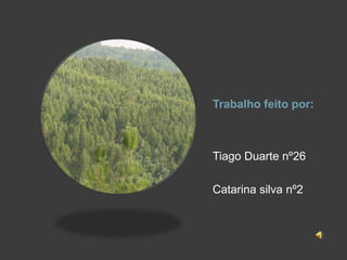 Trabalho feito por:Tiago Duarte nº26Catarina silva nº2
