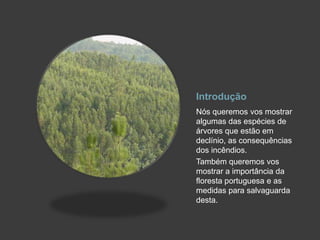 IntroduçãoNós queremos vos mostrar algumas das espécies de árvores que estão em declínio, as consequências dos incêndios.Também queremos vos mostrar a importância da floresta portuguesa e as medidas para salvaguarda desta. 
