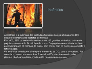 IncêndiosA violência e a extensão dos incêndios florestais nestes últimos anos têm destruído centenas de hectares de floresta. Em 2002, 68% da área ardida resultou de 213 grandes incêndios, causando prejuízos de cerca de 24 milhões de euros. Os prejuízos em material lenhoso ascenderam aos 56 milhões de euros, sem contar com os custos de combate e reflorestação.Os incêndios contribuem ainda para a emissão de CO2 para a atmosfera. Por outro lado, havendo menos área florestal, o CO2 não é removido pelas plantas, não ficando desse modo retido nas plantas e no solo.