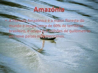 AmazóniaA Floresta Amazónica é a maior floresta do mundo e ocupa cerca de 60% de território brasileiro, e ocupa 6,9 milhões de quilómetrosem nove países sul-americanos.