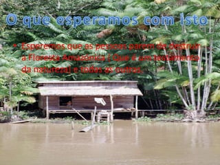 Esperemos que as pessoas parem de destruir a Floresta Amazónica ( Que é um testamento da natureza) e todas as outras.O que esperamos com isto