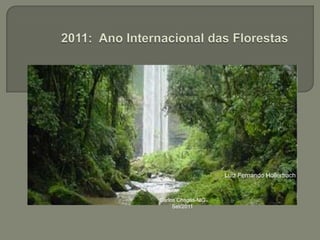 2011: Ano Internacional das Florestas Luiz Fernando Hollerbach Carlos Chagas-MG Set/2011 