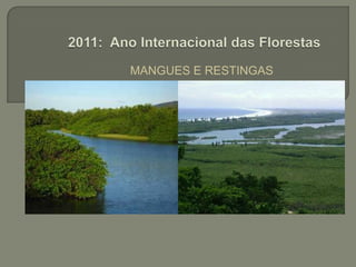 MANGUES E RESTINGAS 2011: Ano Internacional das Florestas