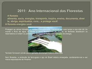  A floresta alimenta, sacia, energiza, transporta, inspira, ensina, documenta, diverte, abriga, espiritualiza, cura... e protege você!2011: Ano Internacional das FlorestasA floresta energiza você Protegem as usinas hidrelétricas contra o assoreamento, mantendo por mais tempo a sua vida útil. Ao manter o fluxo de água, e manter o clima favorecendo as chuvas, as florestas abastecem os reservatórios e evitam os períodos de escassez de água para a geração de energia.Também fornecem carvão para a geração de energia e para a siderurgia. Sem florestas, a produção de ferro-gusa e aço do Brasil estaria ameaçada, condenando-nos a ser meros exportadores de minérios.