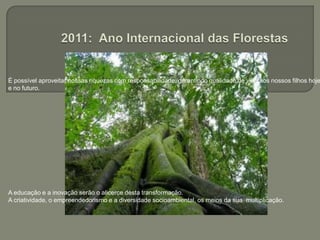 2011: Ano Internacional das FlorestasÉ possível aproveitar nossas riquezas com responsabilidade, garantindo qualidade de vida aos nossos filhos hoje e no futuro. A educação e a inovação serão o alicerce desta transformação.A criatividade, o empreendedorismo e a diversidade socioambiental, os meios da sua  multiplicação.