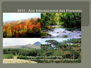 2011: Ano Internacional das FlorestasFlorestas cobrem 31% da superfície da Terra.A estimativa da FAO para o desmatamento mundial 13 milhões de hectares de florestas ao ano