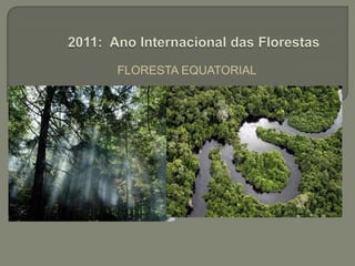 FLORESTA EQUATORIAL 2011: Ano Internacional das Florestas