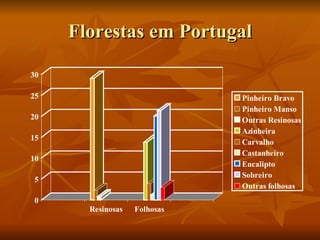 Florestas em Portugal 