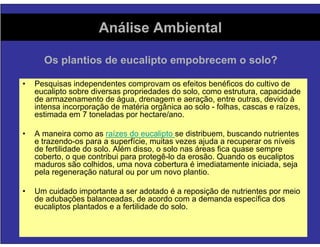 Florestas Comerciais - Sequestro de Carbono e Impactos Ambientais