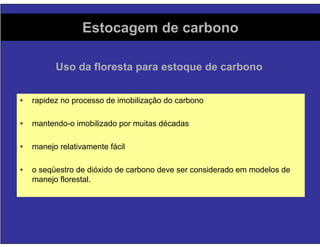Florestas Comerciais - Sequestro de Carbono e Impactos Ambientais