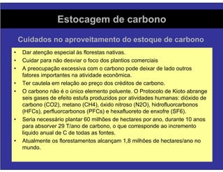 Florestas Comerciais - Sequestro de Carbono e Impactos Ambientais