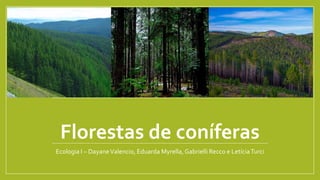 Florestas de coníferas
Ecologia I – DayaneValencio, Eduarda Myrella,Gabrielli Recco e LetíciaTurci
 