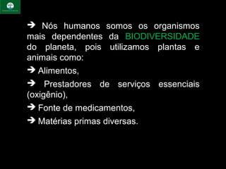  Nós humanos somos os organismos
mais dependentes da BIODIVERSIDADE
do planeta, pois utilizamos plantas e
animais como:
 Alimentos,
 Prestadores de serviços essenciais
(oxigênio),
 Fonte de medicamentos,
 Matérias primas diversas.
 