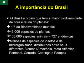 A importância do Brasil

 O Brasil é o país que tem a maior biodiversidade
 de flora e fauna do planeta:
 1/5 da Biodiversidade mundial,
43.000 espécies de plantas,
103.000 espécies animais – 727 endêmicas
Milhões de espécies de insetos e de
 microrganismos, distribuídos entre seus
 diferentes Biomas (Amazônia, Mata Atlântica,
 Pantanal, Cerrado, Caatinga e Pampa)
 