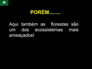 PORÉM........

Aqui também as florestas são
um dos ecossistemas mais
ameaçados!
 