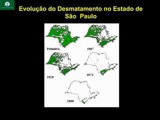 Evolução do Desmatamento no Estado de
              São Paulo
 