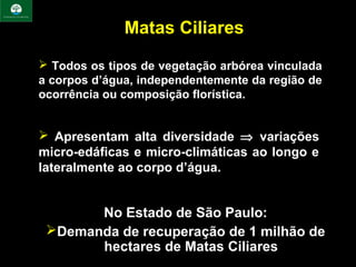 Matas Ciliares
 Todos os tipos de vegetação arbórea vinculada
a corpos d’água, independentemente da região de
ocorrência ou composição florística.


 Apresentam alta diversidade ⇒ variações
micro-edáficas e micro-climáticas ao longo e
lateralmente ao corpo d’água.


       No Estado de São Paulo:
 Demanda de recuperação de 1 milhão de
       hectares de Matas Ciliares
 