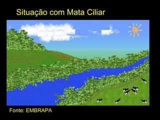 Situação com Mata Ciliar




Fonte: EMBRAPA
 